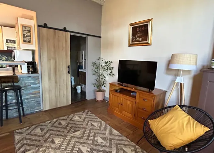 Maison De Lur 公寓 佩里格